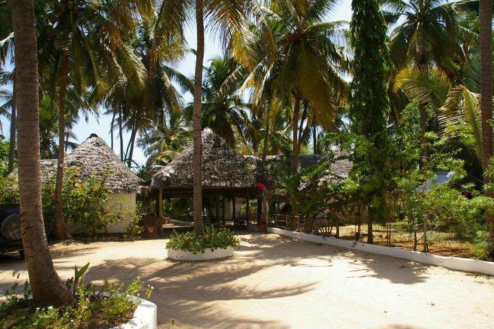 Ndame Beach Lodge Paje Exterior photo