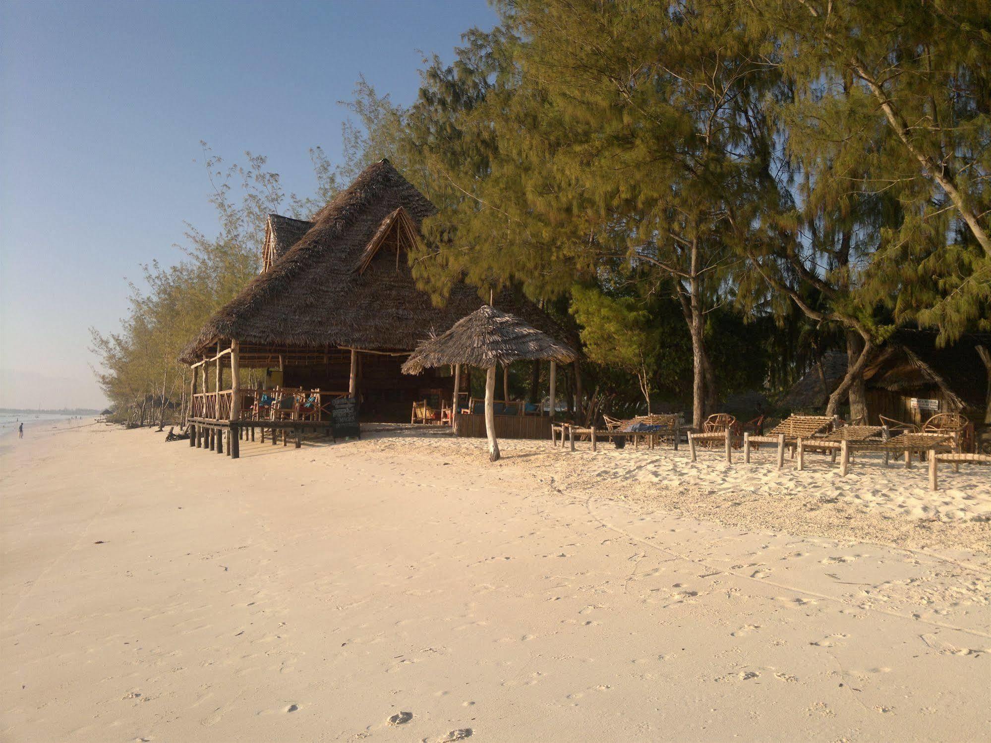Ndame Beach Lodge Paje Exterior photo